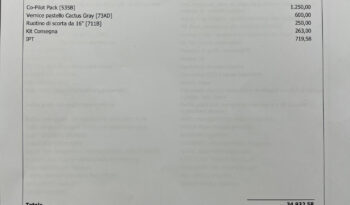 Ford Puma 1.0 h S&S ST-Line X noleggio no scoring pieno