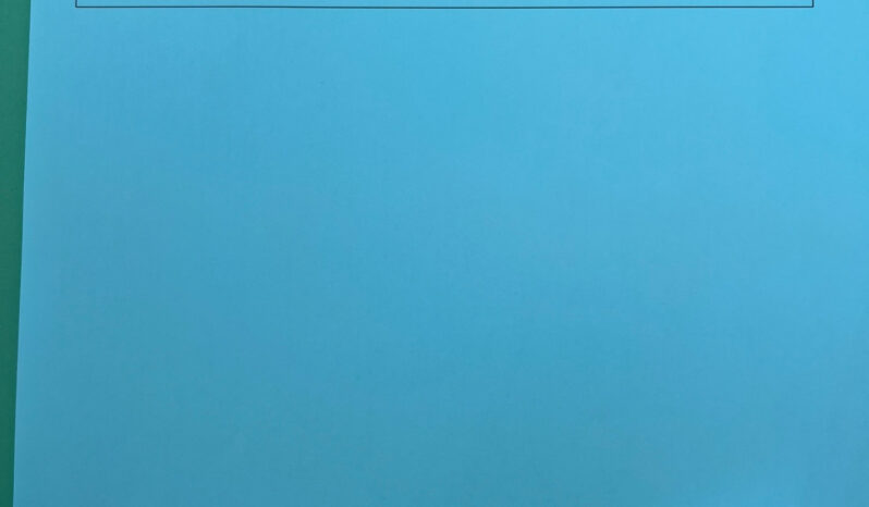 Cupra Born 79kWh 326 CV VZ Super Offerta T-Stock pieno