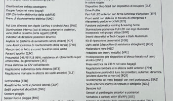 Cupra Formentor 2.0 TDI DSG possibilità noleggio no scoring pieno