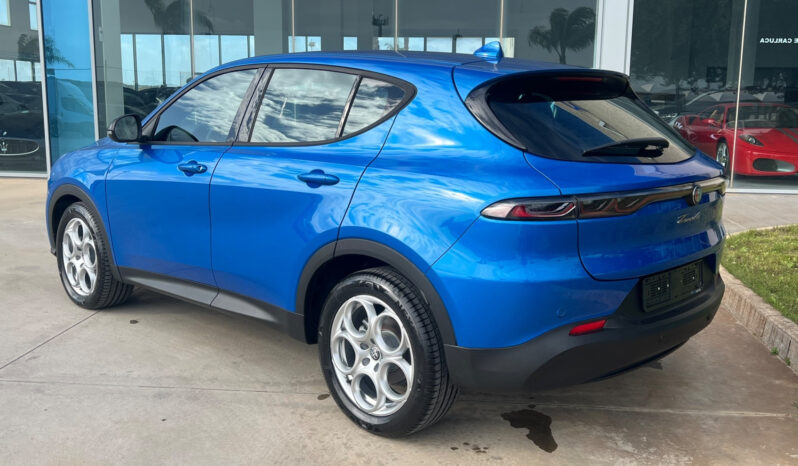 Alfa Romeo Tonale Sprint possibilità trasformazione AutocarroN1 pieno