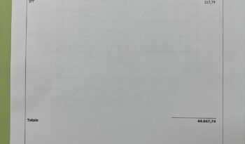 Jeep Avenger BEV Summit possibilità trasformazione AutocarroN1 pieno