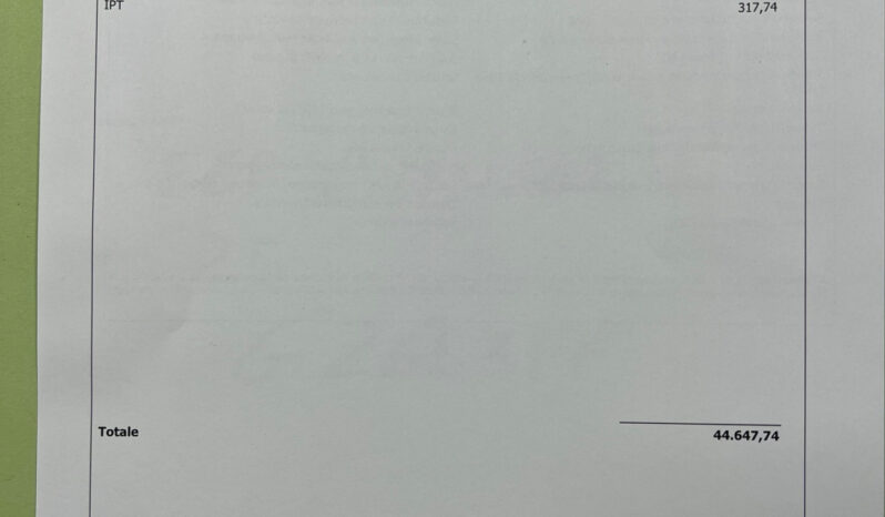 Jeep Avenger BEV Summit possibilità trasformazione AutocarroN1 pieno