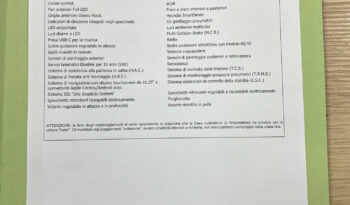 Hyundai BAYON 1.2 mpi Xline possibilità noleggio no scoring pieno