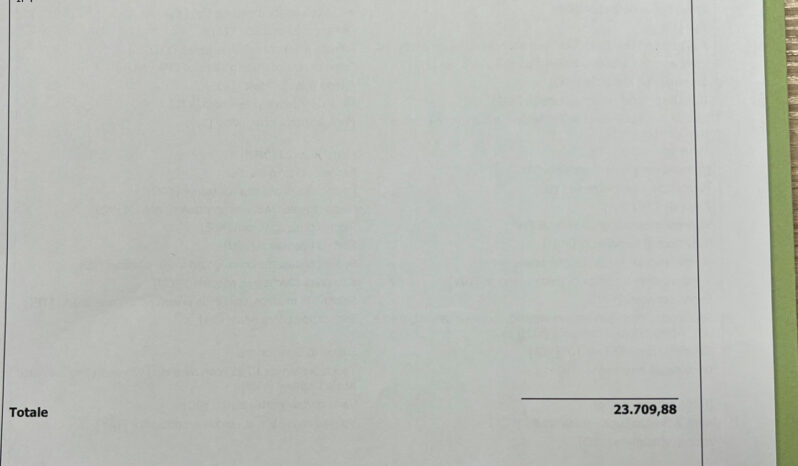 Fiat Grande Panda 1.2 Hybrid 110 CV S&S Icon possibilità noleggio no scoring pieno