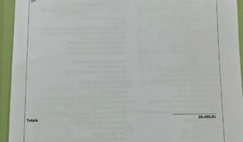 Fiat Grande Panda 44kWh Red Anticipo €7.665 Noleggio No Scoring pieno