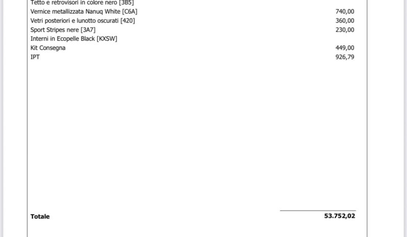 Mini Cooper S Countryman ALL4 JCW 2.0 218Cv pieno