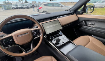 Land Rover Range Sport 3.0D l6 249 CV Dynamic HSE possibilità noleggio no scoring pieno