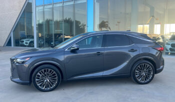 Lexus RX 450h Plug-in Hybrid Luxury pieno
