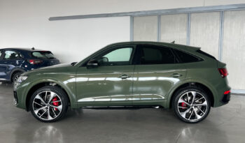 Audi Q5 40 TDI 204 CV quattro S tronic line plus pieno