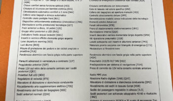 Audi Q2 35 TDI 150 CV S tronic Business Advanced pieno