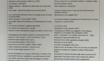 Volkswagen Polo 1.0 young 80CV – possibilità noleggio no scoring pieno